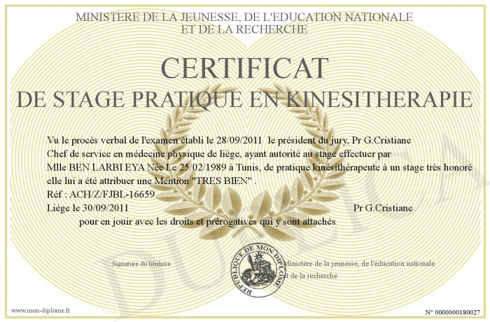 diplome universitaire kinesitherapie